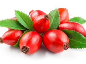 LJEKOVITOST ŠIPURINE (ŠIPAK)